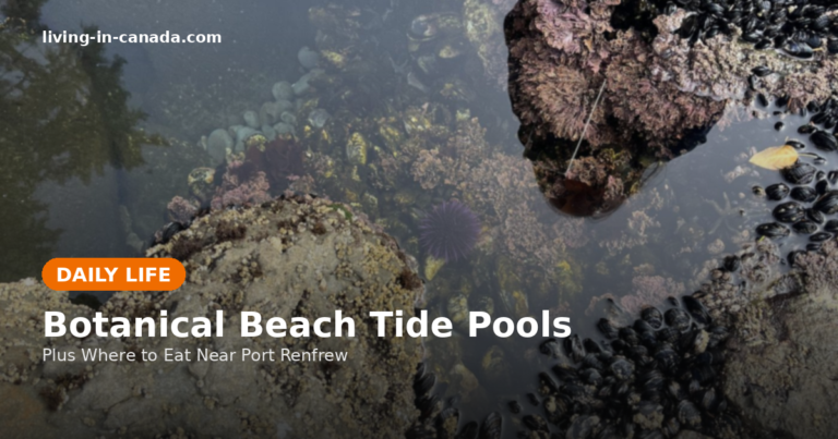 Beyond China Beach: Botanical Beach Tide Pools