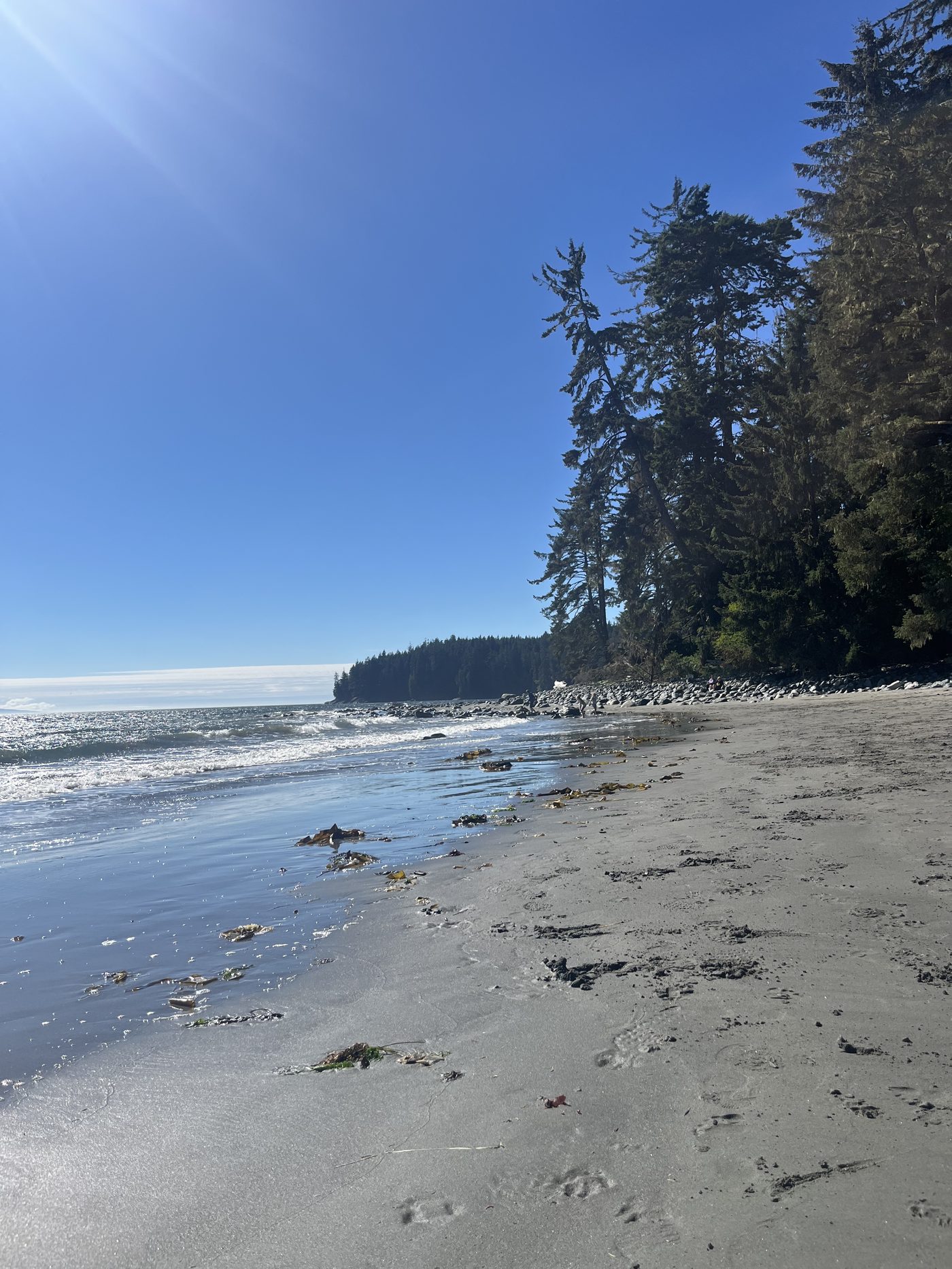 China Beach sandy shoreline with forested cliff on Vancouver Island