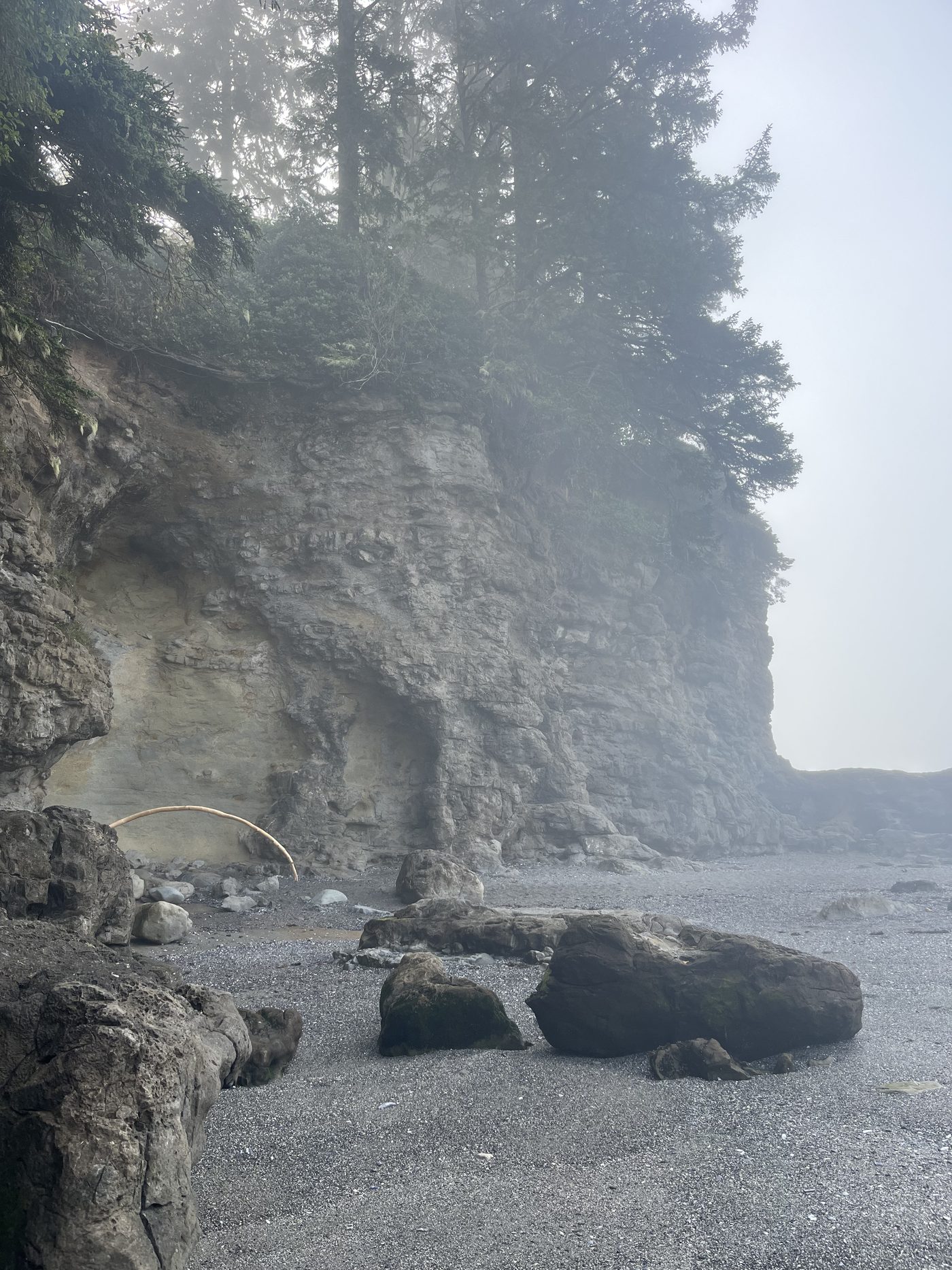 Fog-covered sandstone cliff and rocky coastline at Botanical Beach