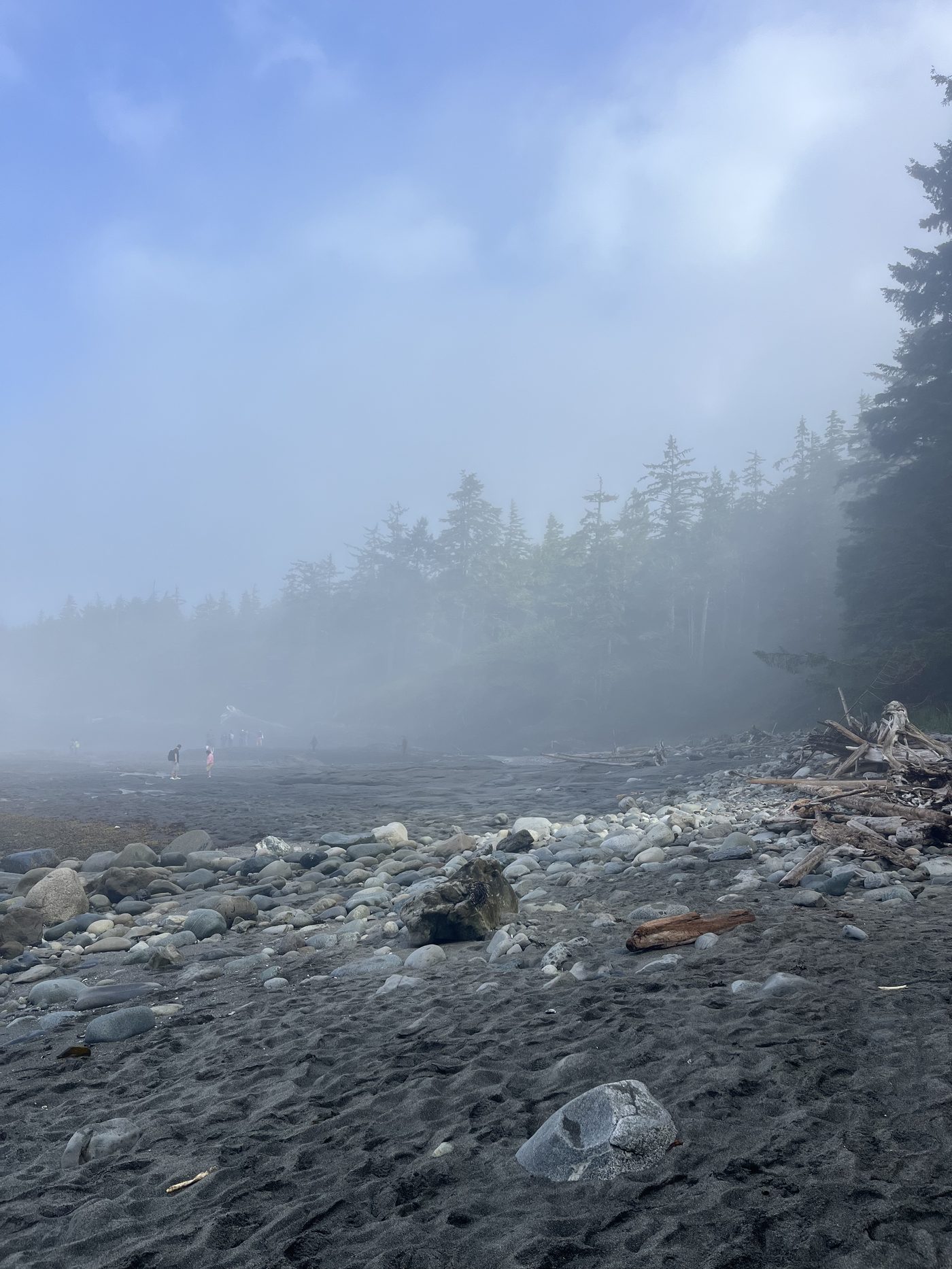Foggy beach at Botanical Beach with rocky shoreline