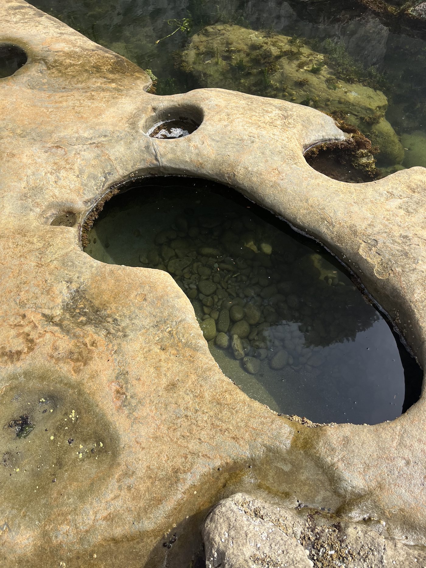 Clear tide pool carved into sandstone rock at Botanical Beach
