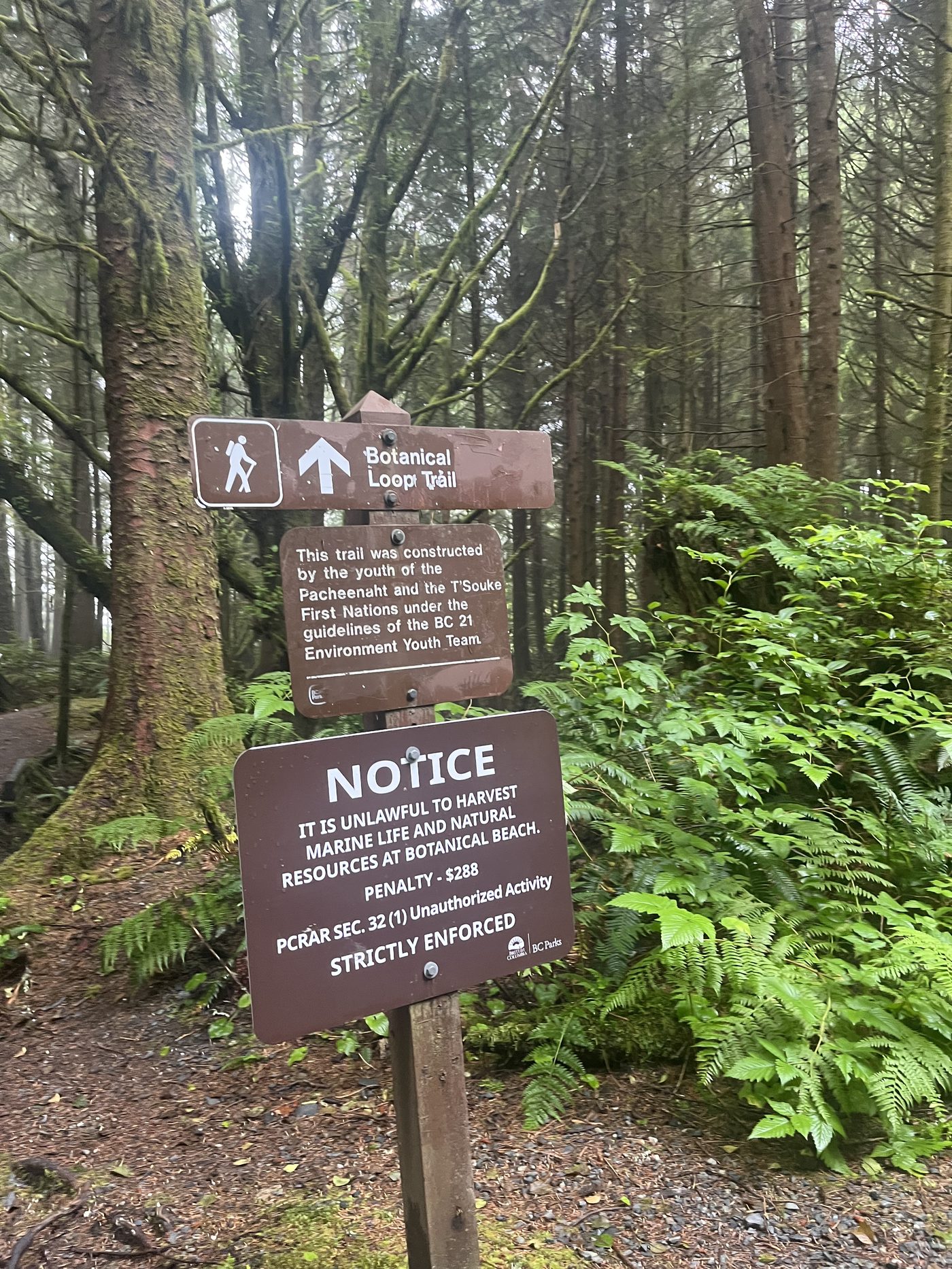 Botanical Loop Trail sign in old-growth forest at Juan de Fuca Provincial Park