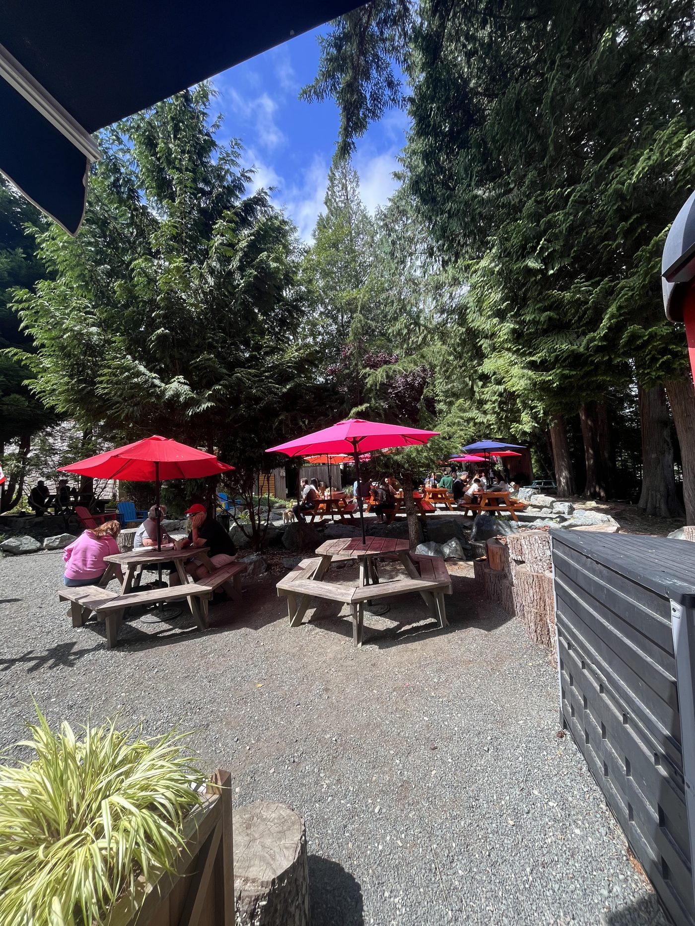 Outdoor patio seating at Shirley Delicious cafe surrounded by trees